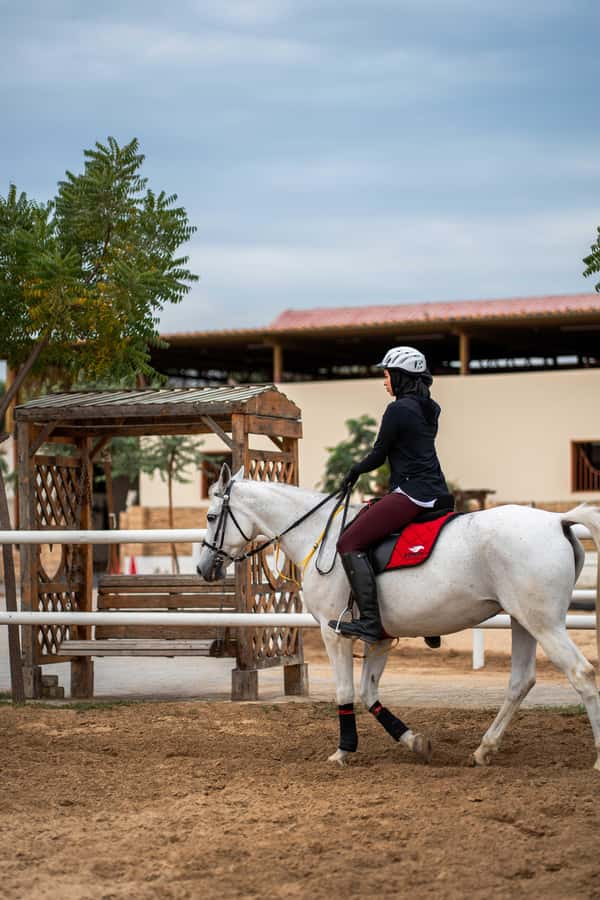 1 Hour Horseback Dubai Desert Park Ride - Riding Dubai’s woodland and dunes