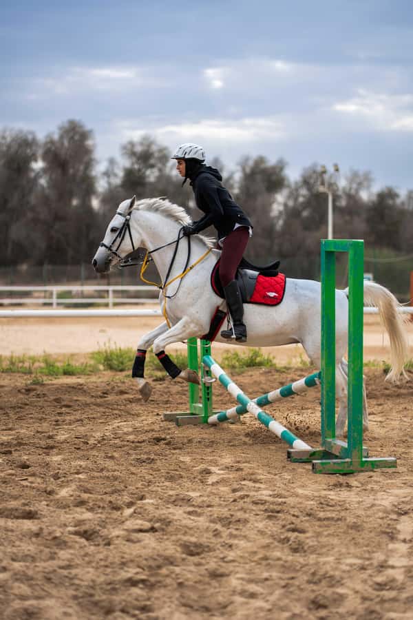1 Hour Horseback Dubai Desert Park Ride - Cantering, walking, and managing expectations