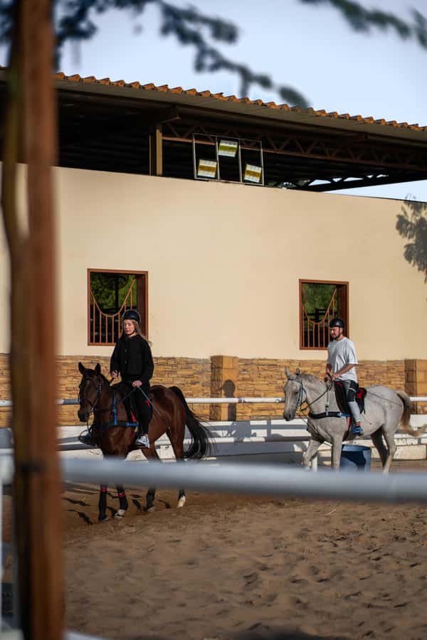 1 Hour Horseback Dubai Desert Park Ride - Practical details that affect your day