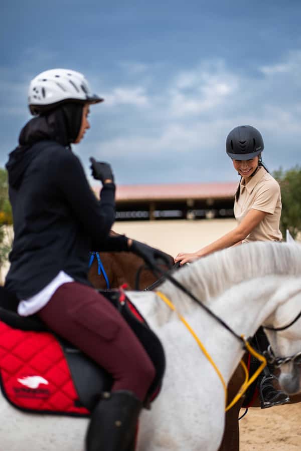 1 Hour Horseback Dubai Desert Park Ride - What the positive feedback tells you