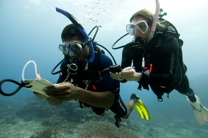 4 Day Certified PADI Open Water Scuba Diver in Dubai - Four open-water sessions from Jumeirah Beach