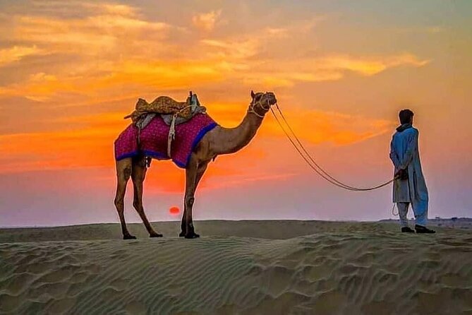 4 Hours Desert Safari - Pickup from Dubai, Sharjah, and Ajman