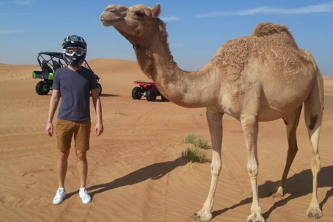 4 Hours Morning Desert Safari in Dubai - A Short Camel Ride to Slow Things Down