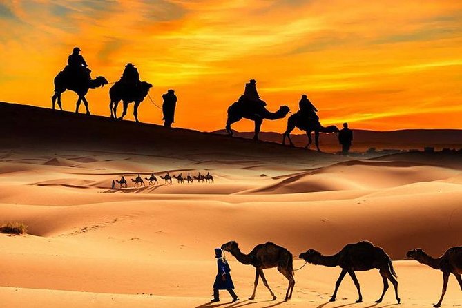 4x4 ATV Quad Biking Dubai Desert Tour - 1 Hour Experience - What happens at Majlis Desert Safari Camp