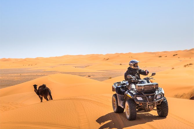 4x4 ATV Quad Biking Dubai Desert Tour - 1 Hour Experience - The convoy ride and the support team