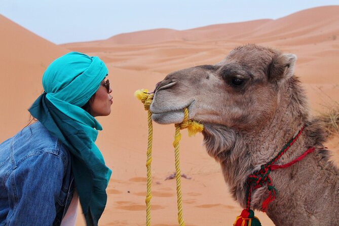 4x4 Desert Safari Abu Dhabi with BBQ Dinner - Leaving Abu Dhabi at 4 p.m.