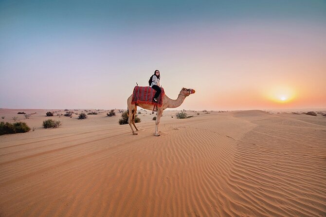 4x4 Desert Safari With Dinner and Private Pick up - Who Will Enjoy This Evening Most?