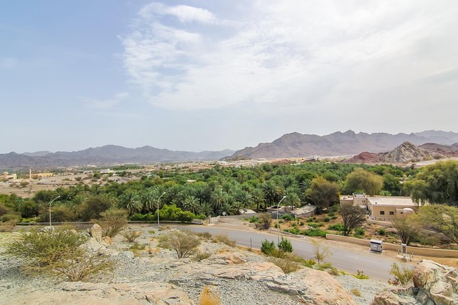 4x4 Hatta Safari to Fossil Rock & Honey Bee Garden visit with Breakfast - Hatta Dam is a scenic stop, not a full activity