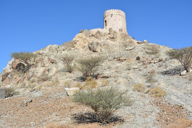 4x4 Hatta Safari to Fossil Rock & Honey Bee Garden visit with Breakfast - How much of your day does the tour really use?