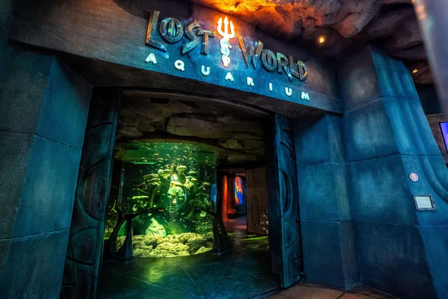 5-Day Pass: Hop-On Hop-Off, Lost World Aquarium, Dubai Frame - Blue Route: Jumeirah, the Palm, and Dubai Marina