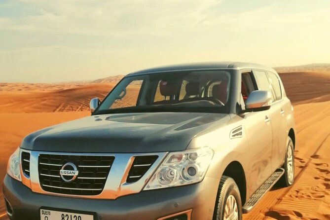57 Adventure ( Dune Bashing ) - Falcons and camels at 57 Safari Camp