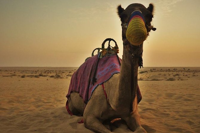 7-hour Small Group 4x4 Desert Safari Tour with Buffet Dinner in Dubai - Is $30.70 good value?