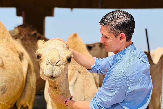8 Hours Al Ain City Tour without lunch - Why Al Ain makes a good full-day escape