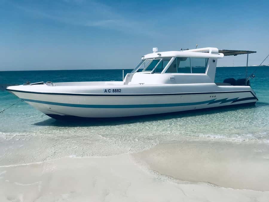 Abu Dhabi: 4-Hour Guided Cruise & Island Hopping - Etihad Towers and Qasr Al Watan from the sea