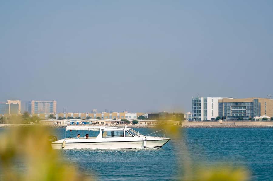 Abu Dhabi: 4-Hour Guided Cruise & Island Hopping - Dolphin Island and the first swim