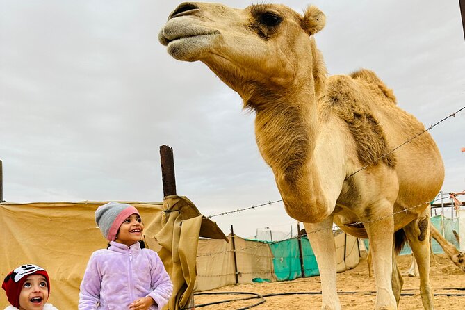 Abu Dhabi: 4x4 Desert Safari and Sandboarding. - Feeding camels at the farm
