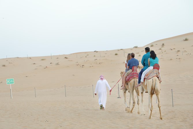 Abu Dhabi City Tour and Desert Safari - The transition from city streets to open sand