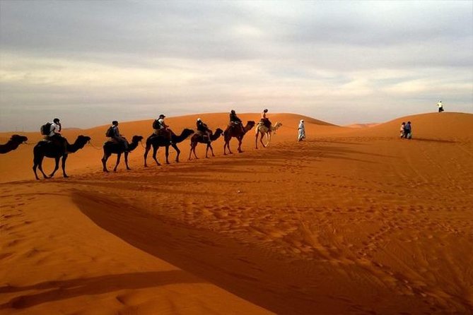 Abu Dhabi City Tour with Desert Safari Adventure - What the guide and driver can add