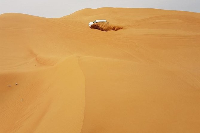 Abu Dhabi Desert Safari 4x4, BBQ Dinner, Camel Ride - Sandboarding on the camp’s high dune