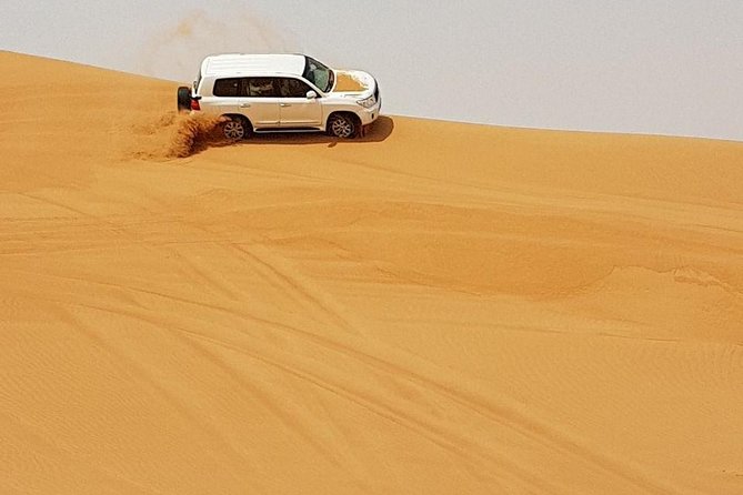 Abu Dhabi Desert Safari 4x4, BBQ Dinner, Camel Ride - Two hours of food, shows, and desert camp activities