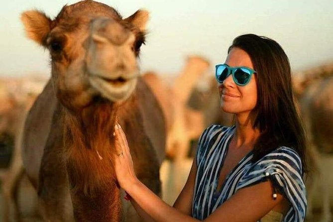 Abu Dhabi Desert Safari 4x4, BBQ Dinner, Camel Ride - Who will enjoy this Abu Dhabi safari most