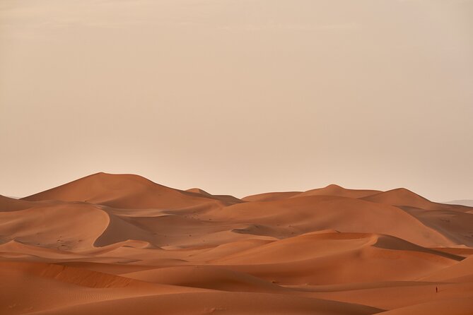 Abu Dhabi Desert Safari Tour with Shows & Buffet Dinner - Adventure Gate Camp after dark