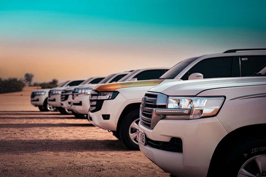 Abu Dhabi: Desert Safari with BBQ, Belly & Tannura Dance - Al Khatim Desert and 45 minutes of dune bashing