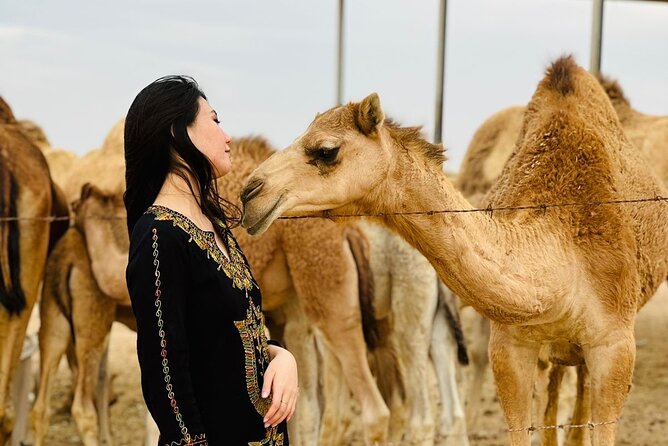 Abu Dhabi Desert Safari With BBQ Dinner & Live Shows - Who will enjoy this desert safari most?