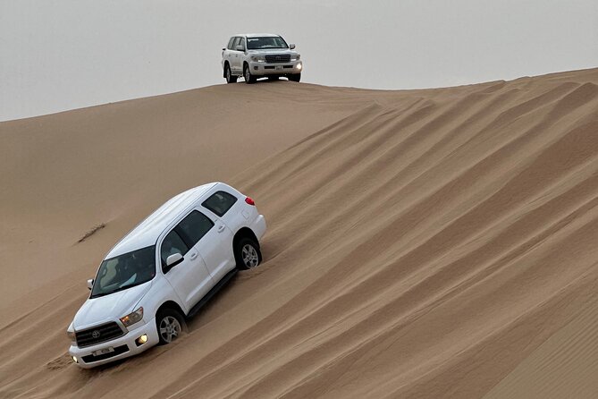 Abu Dhabi Desert Safari With BBQ Dinner & Live Shows - Dune bashing: thrilling, rough, and not for everyone