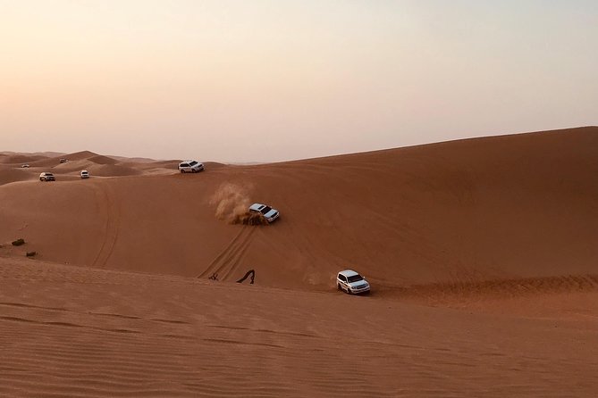 Abu Dhabi Desert safari with BBQ Dinner,Sandboarding & Camel ride - Key points at a glance