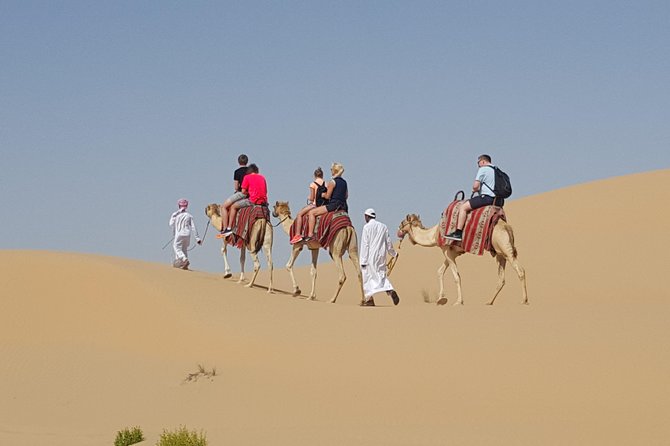 Abu Dhabi Desert safari with BBQ Dinner,Sandboarding & Camel ride - A camel farm visit with realistic expectations