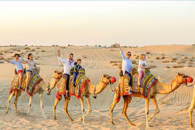 Abu Dhabi Desert Safari with Live Entertainment and Live BBQ - From Abu Dhabi pickup to the desert