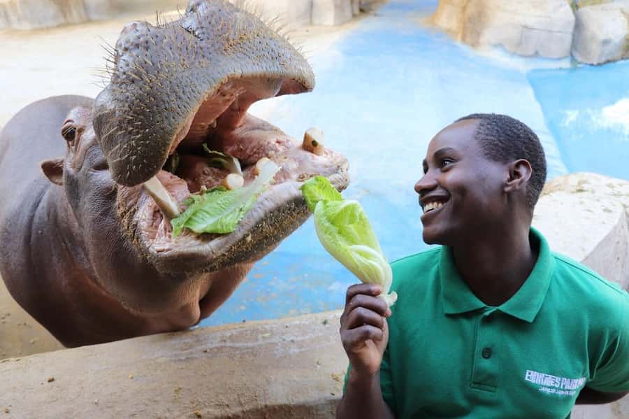 Abu Dhabi: Emirates Park Zoo Entry Ticket - Key points at a glance