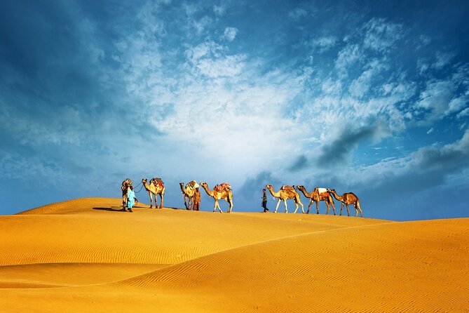 Abu Dhabi Evening Desert Safari Adventure - Key points to know before booking