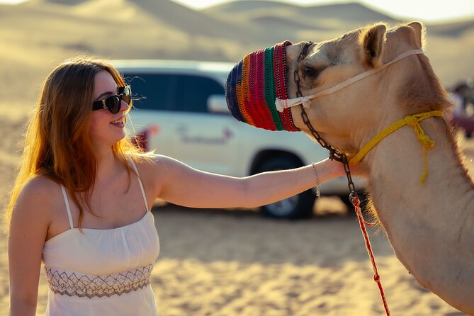 Abu Dhabi Evening Desert Safari - Dune bashing Camel ride and BBQ - From Abu Dhabi streets to open sand by 2:30 pm