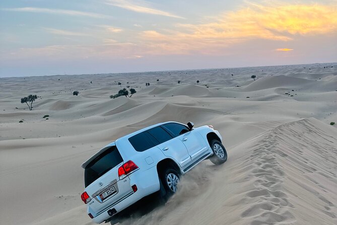 Abu Dhabi: Evening Desert Safari with Camel Ride, BBQ & Live Show - From Abu Dhabi to the Al Khatim dunes
