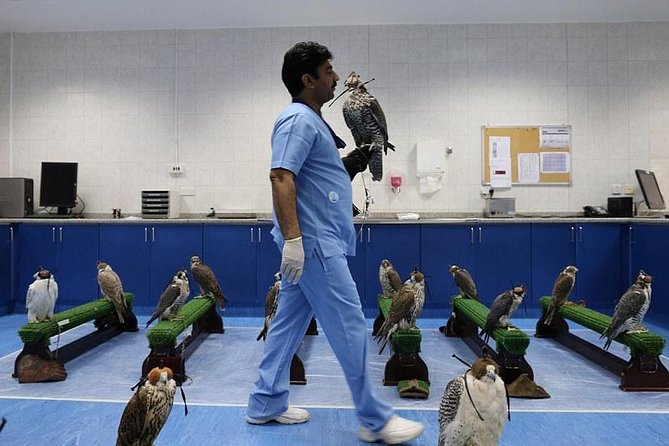 Abu Dhabi Falcon Hospital Tour - The aviary adds movement and scale