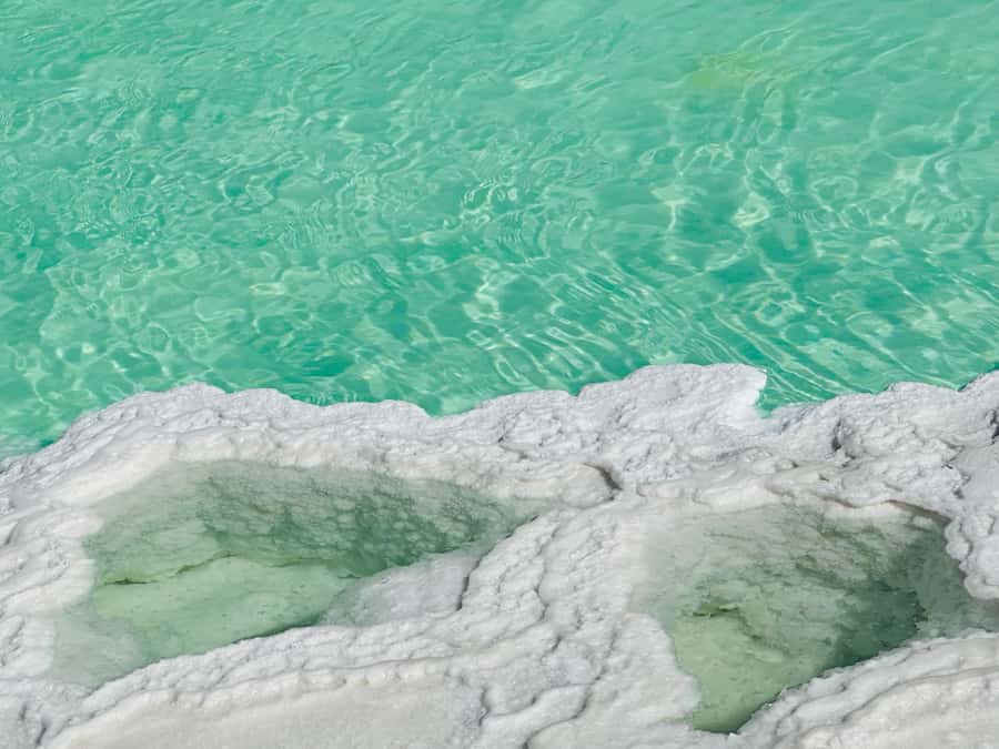 Abu Dhabi: Fossil Dune, Salt Lake and Camel Race Track Tour - Key points to know before booking