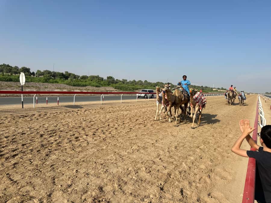 Abu Dhabi: Fossil Dune, Salt Lake and Camel Race Track Tour - What the transport and guiding are really like