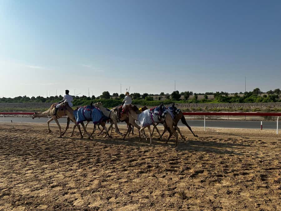 Abu Dhabi: Fossil Dune, Salt Lake and Camel Race Track Tour - Should you book it?