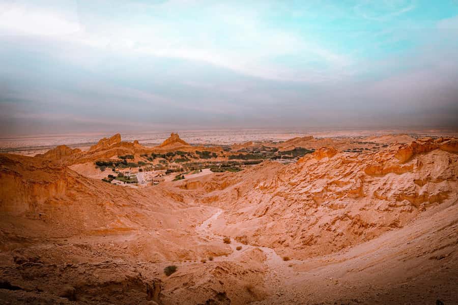 Abu Dhabi: Full-Day Al Ain Tour with Entry Tickets and Meal - Buffet lunch at Ayla Bawadi Hotel