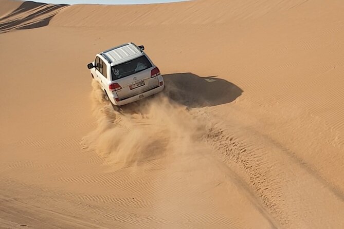 Abu Dhabi Full-Day Desert Safari - Camel farm and camel ride add a slower pace