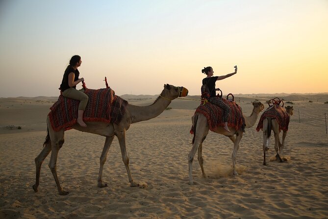 Abu Dhabi Half Day Desert Safari - Falcon photographs and animal welfare
