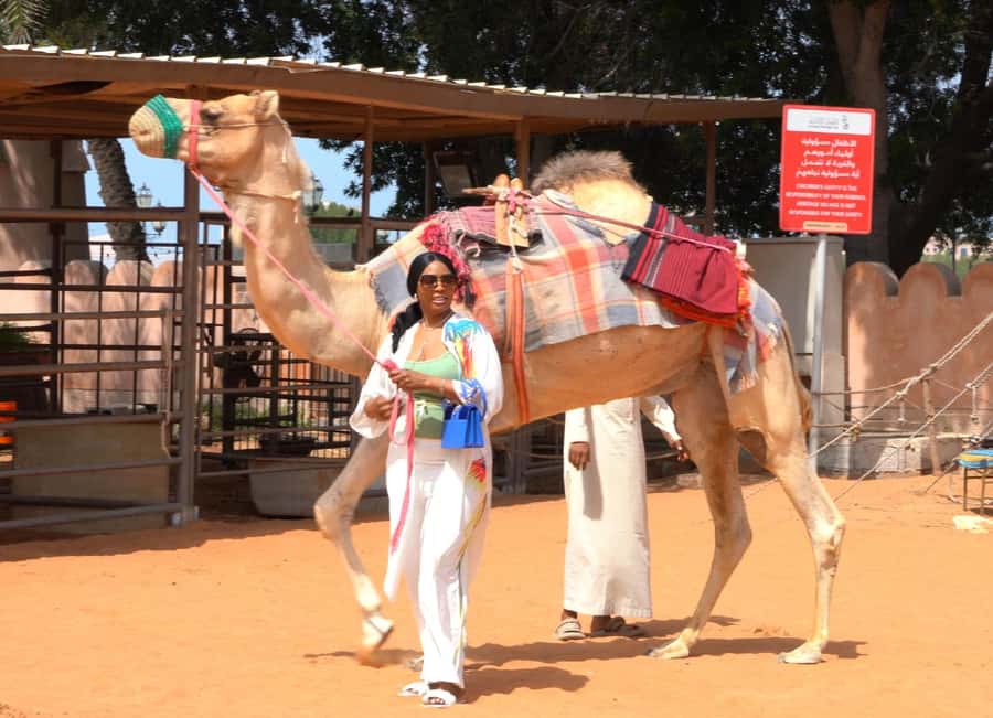 Abu Dhabi: Inside Heritage Village Walking Tour - A Bedouin camp in the middle of the capital
