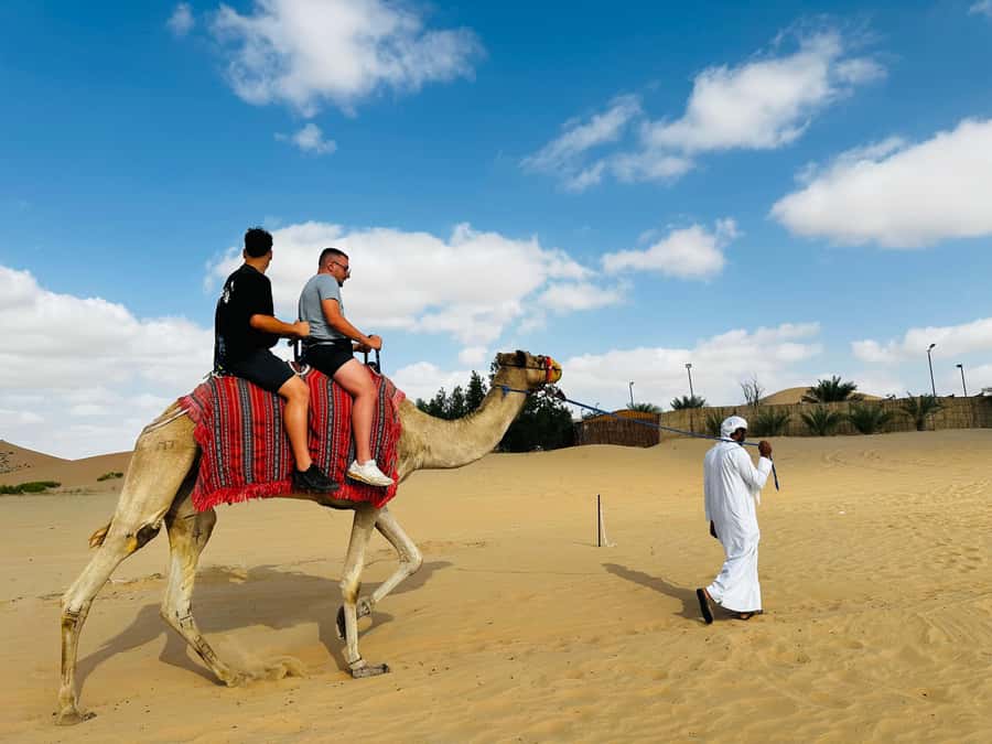Abu Dhabi: Magical 4x4 Desert Tour with BBQ & Sandboarding - Is $78 good value?