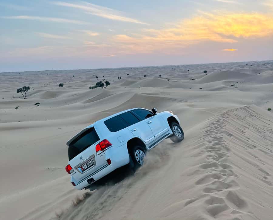 Abu Dhabi: Magical 4x4 Desert Tour with BBQ & Sandboarding - Dune bashing across the golden sand