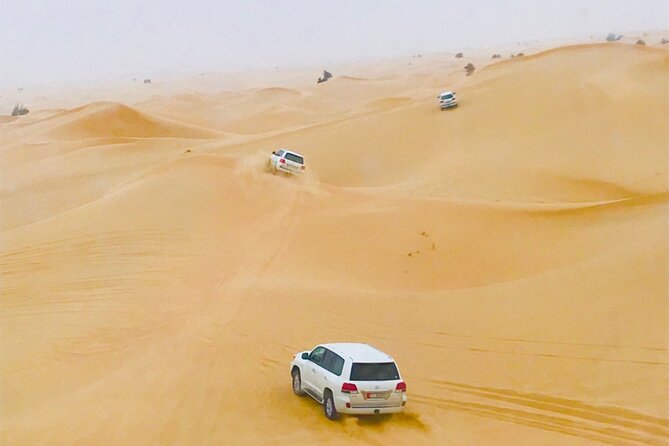Abu Dhabi Morning Desert Safari - Key points to know before booking