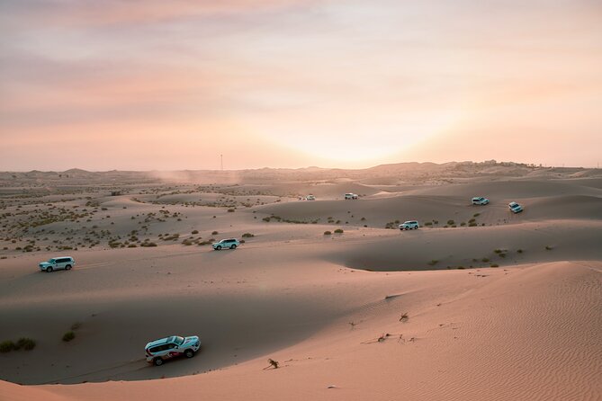 Abu Dhabi Morning Desert Safari: 4x4 Dune Bashing, Camel Ride and Sandboarding - Key points to know before booking