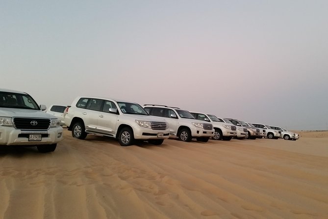 Abu Dhabi Morning Desert Safari - What the $70 price really buys you