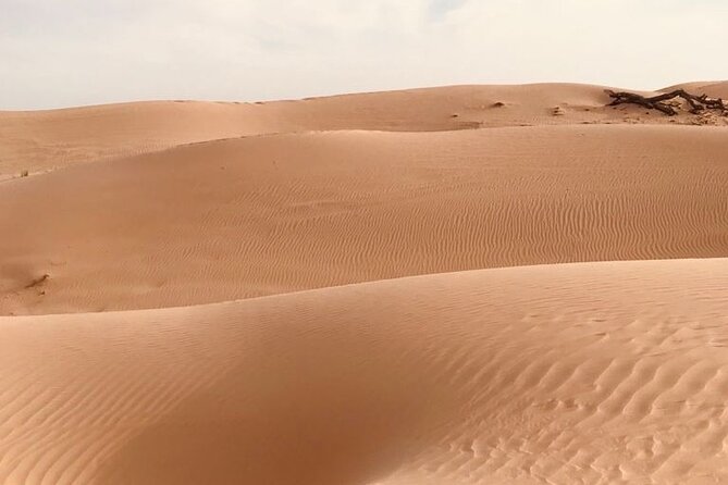 Abu Dhabi Morning Desert Safari,Dune Bashing,Sandboarding,Camel Riding&Quad Bike - Guides can shape the whole outing